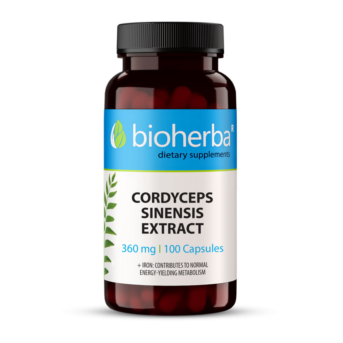 КОРДИЦЕПС / CORDYCEPS SINENSIS EXTRACT, 100 капсули, 360 мг, Биохерба