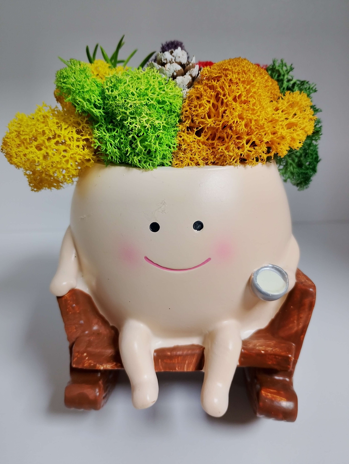 Сувенир от Исландски мъх