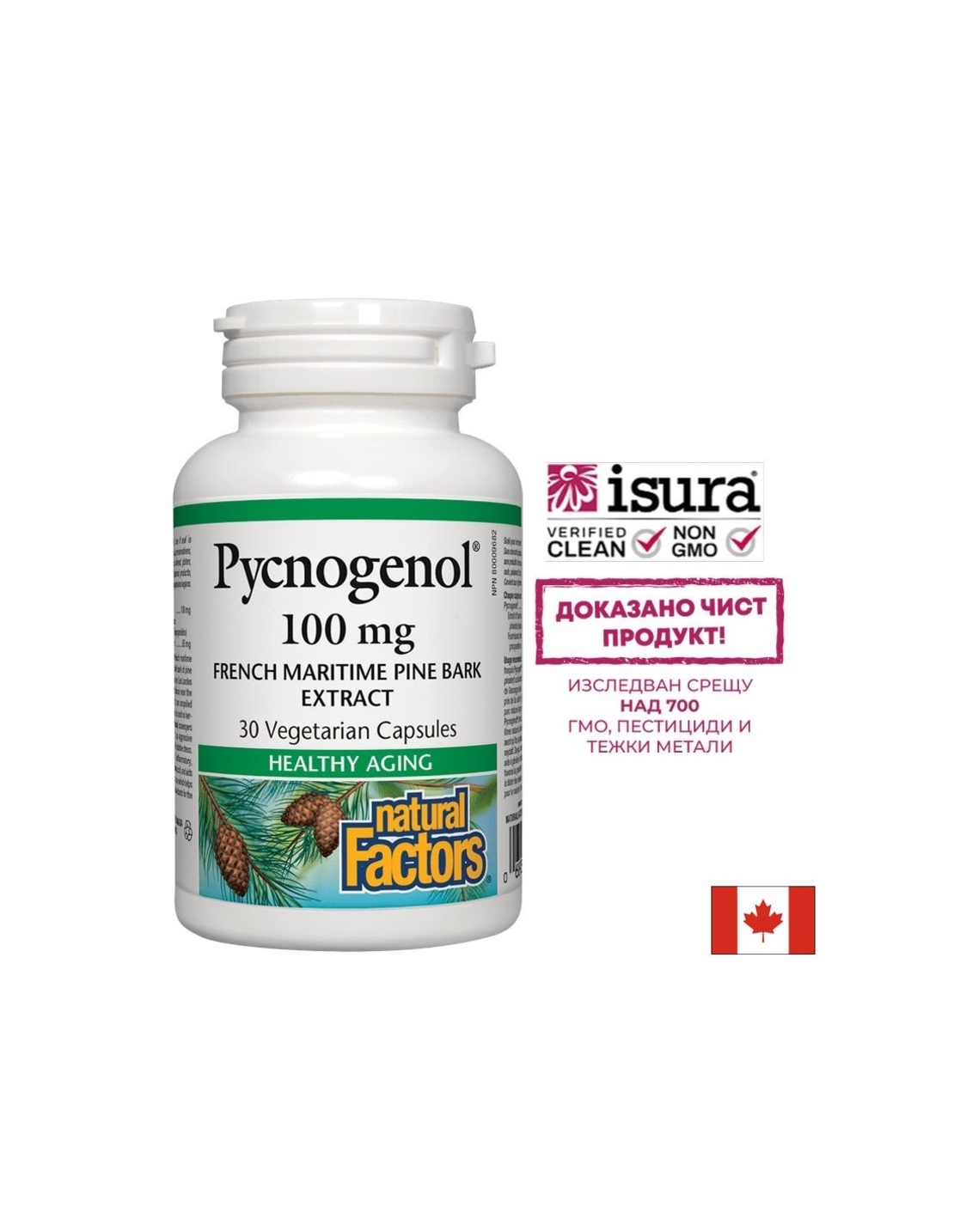 Pycnogenol® - Пикногенол, 100 mg, 30 V-капсули Natural Factors