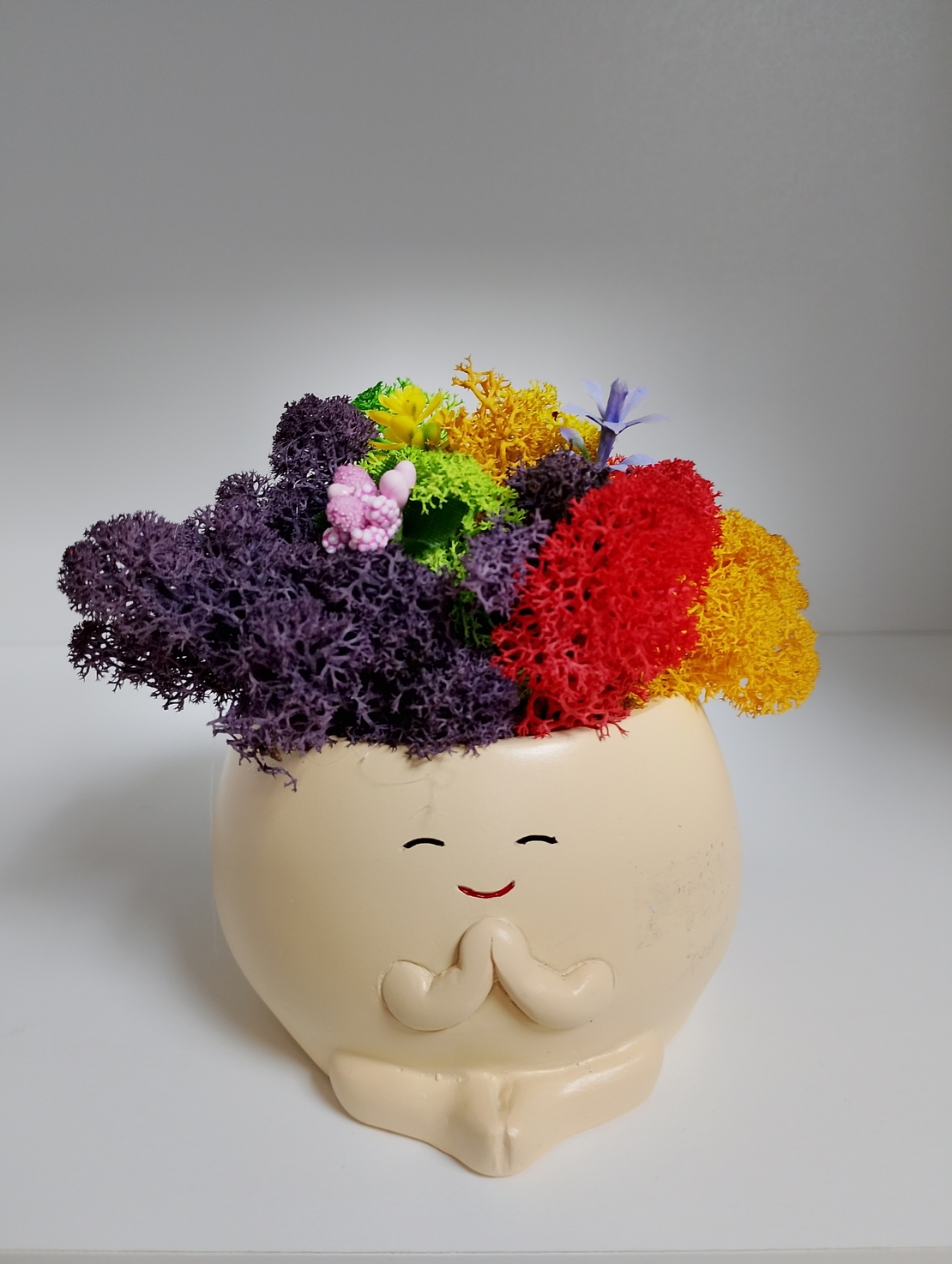 Сувенир от Исландски мъх