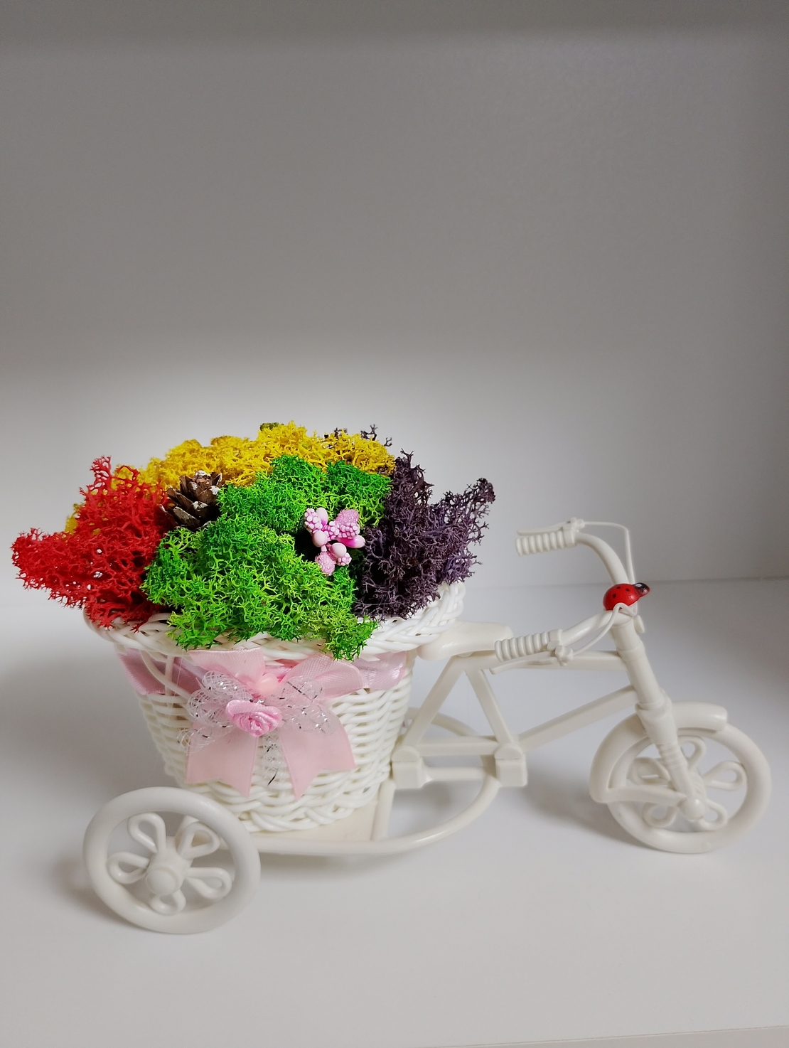 Сувенир от Исландски мъх