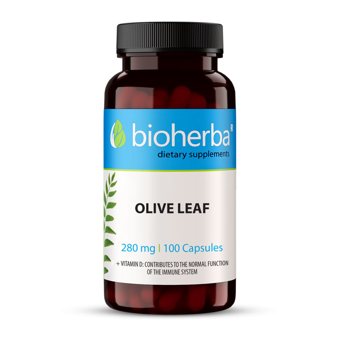Маслина Лист (Olive Leaf) 280 mg – 100 капсули