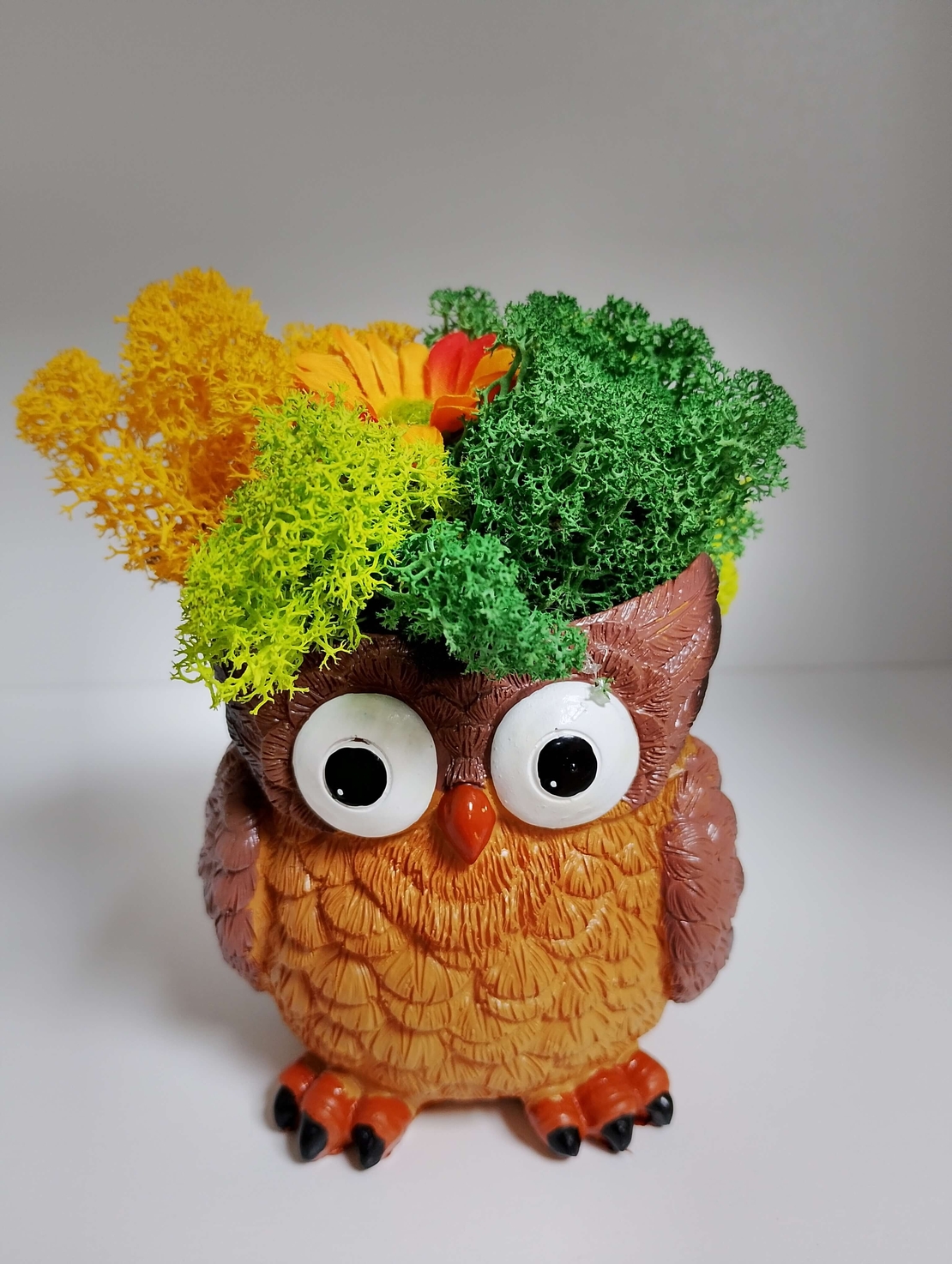 Сувенир от Исландски мъх