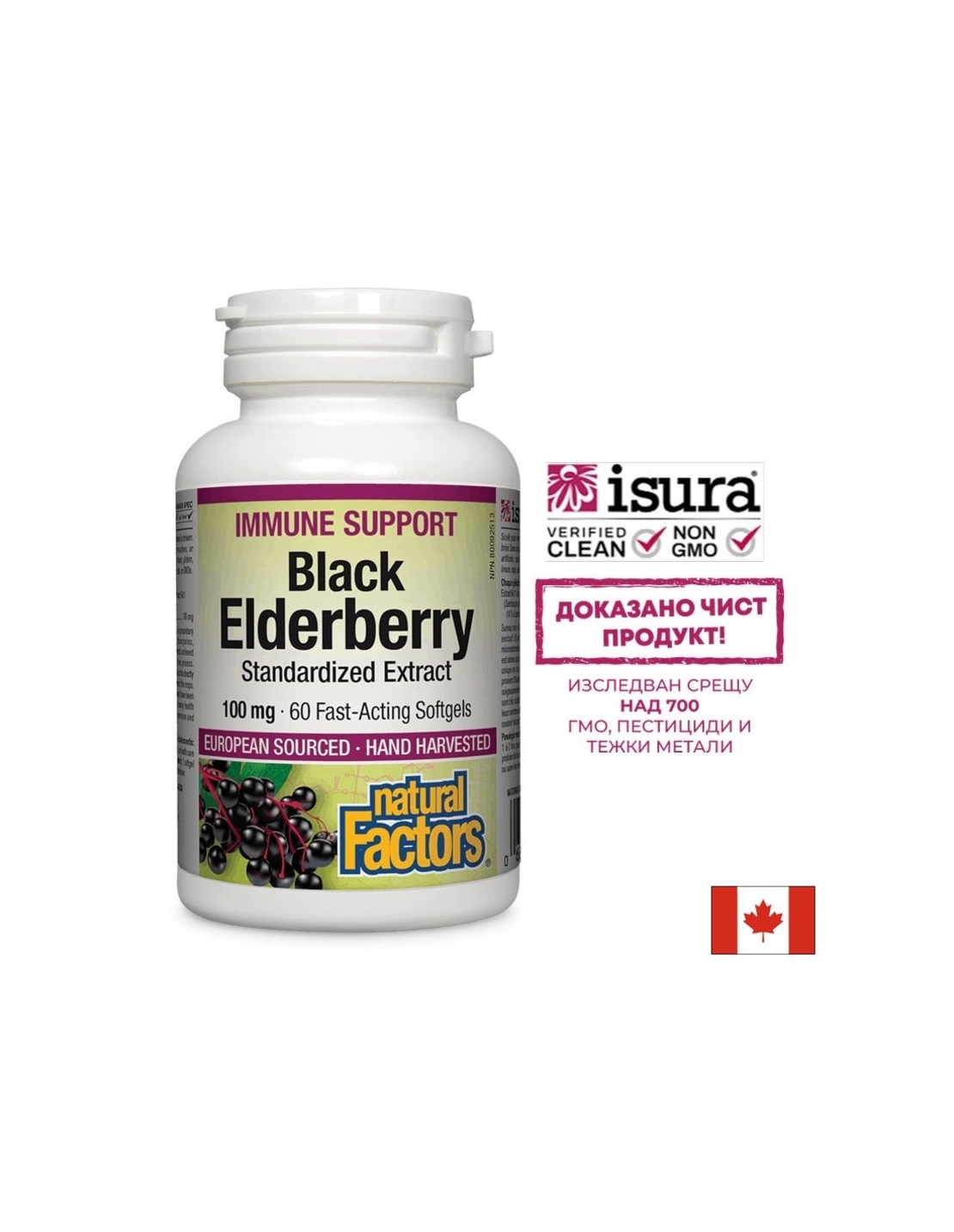 Black Elderberry Standardized Extract / Черен бъз /Стандартизиран екстракт/, 100 mg, 60 бързоусвоими софтгел капсули Natural Factors