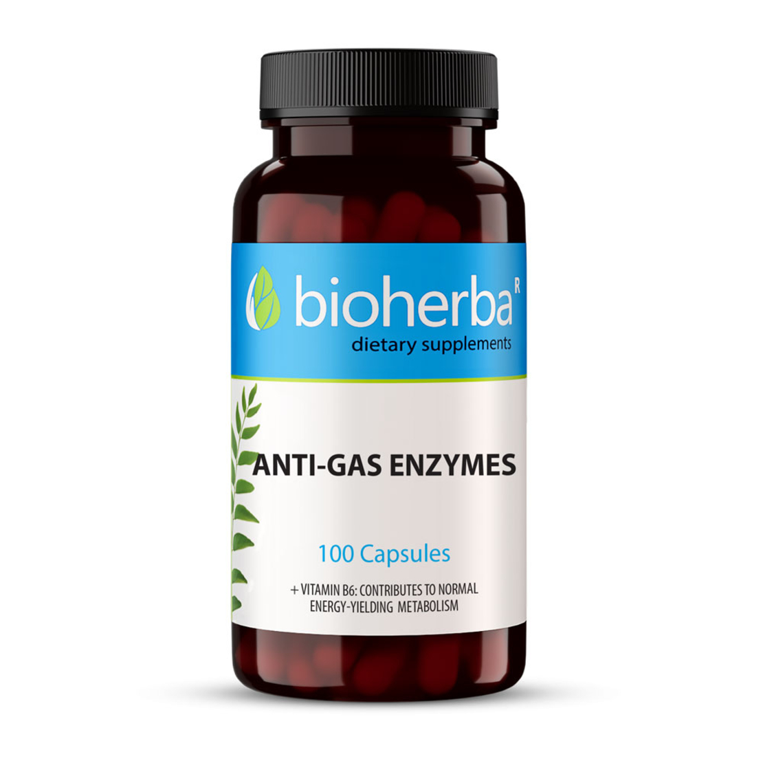 АНТИ ГАЗ ЕНЗИМИ / ANTI-GAS ENZYME, 100 капсули, Биохерба