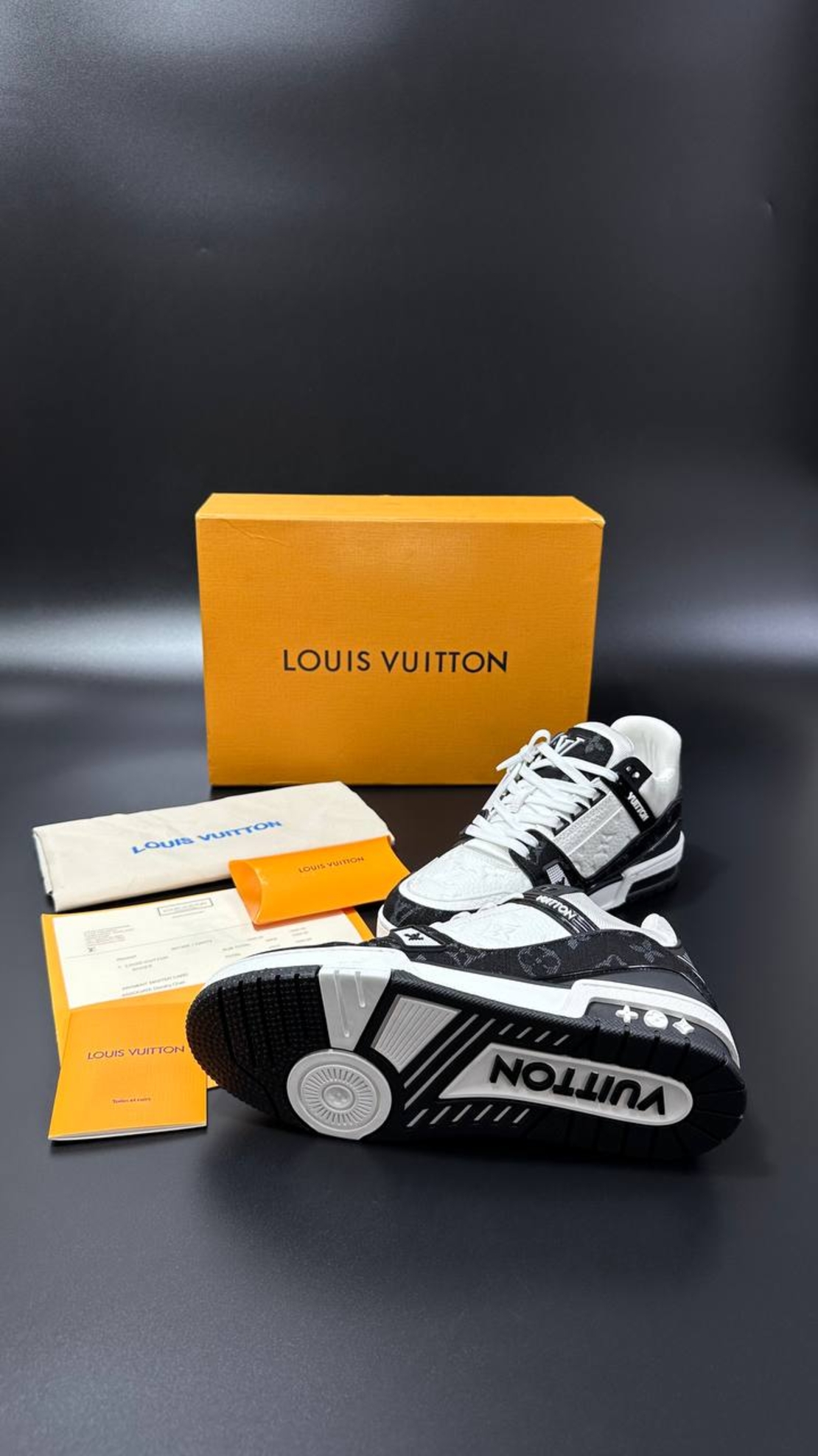 Louis Vuitton Sneakers 2