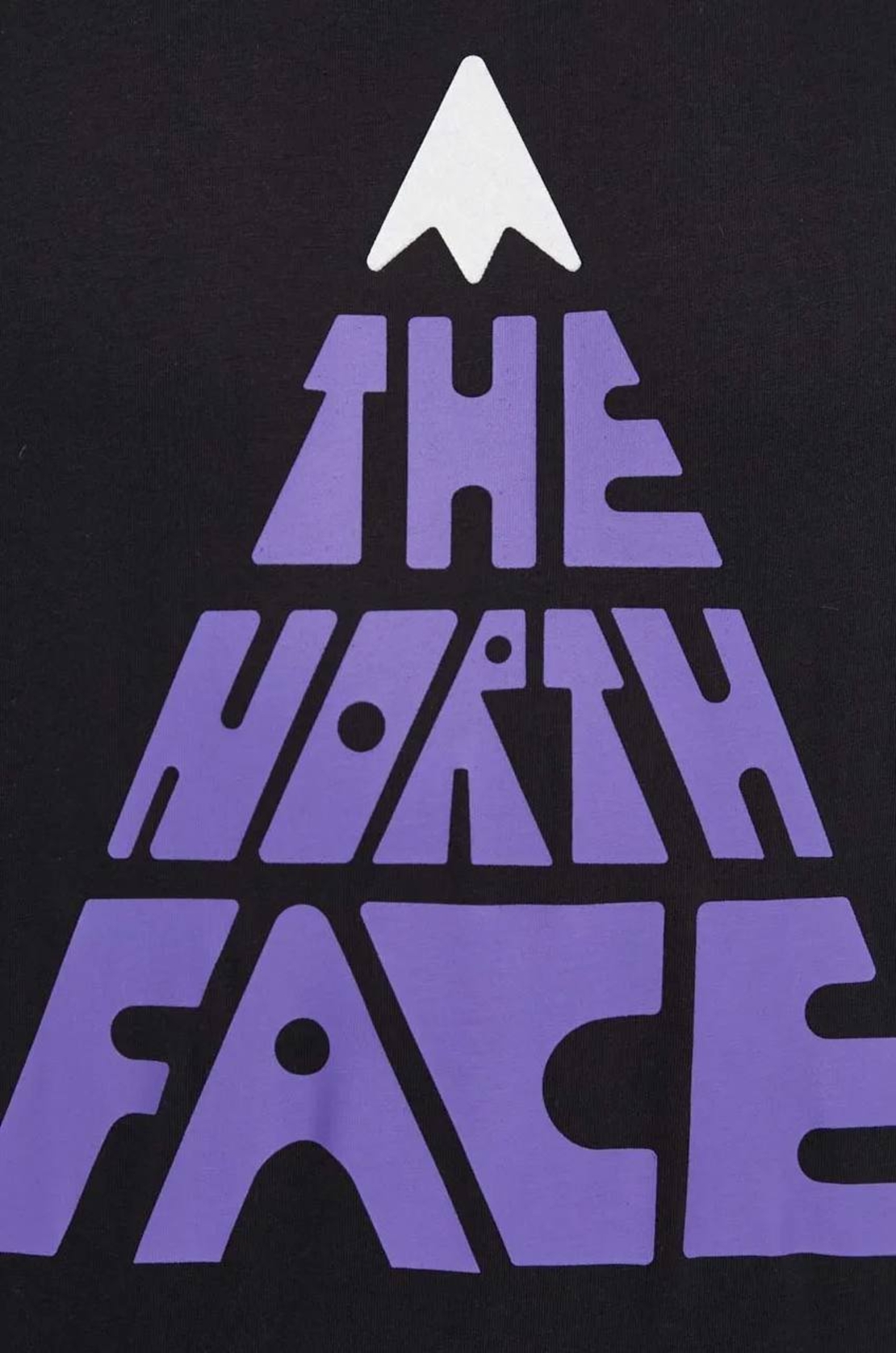 The North Face Graphic T-Shirt – Black / Purple