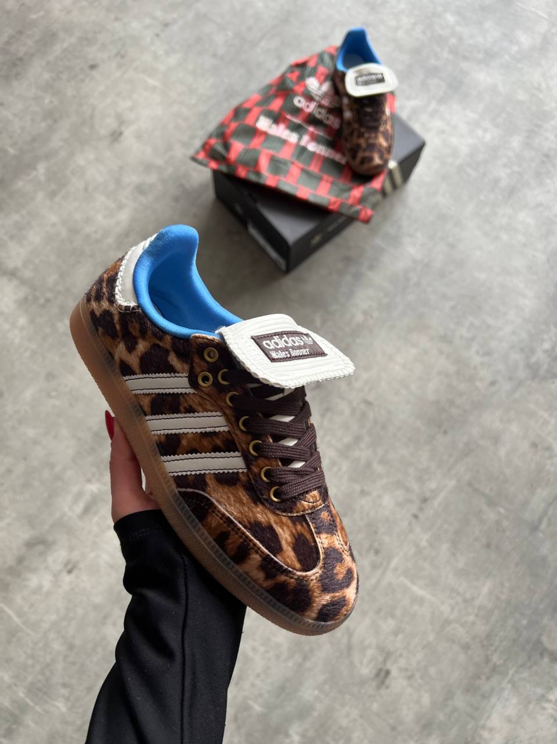Adidas Samba X Wales Bonner ''Leopard''