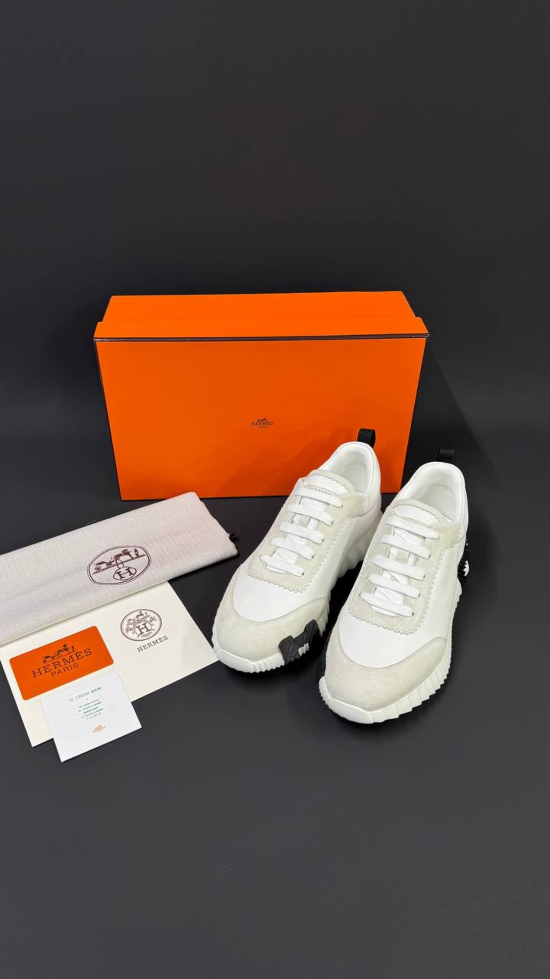 Hermès Bouncing Sneaker „Graphic Mesh & Suede Goatskin“