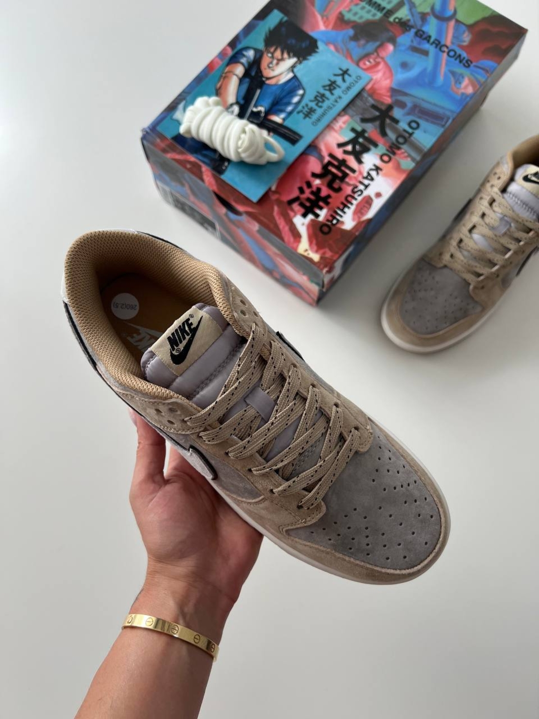 Otomo Katsuhiro x Nike Dunk Low 