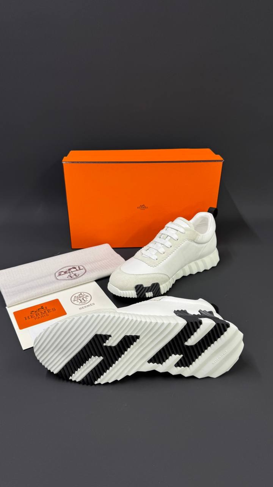 Hermès Bouncing Sneaker „Graphic Mesh & Suede Goatskin“