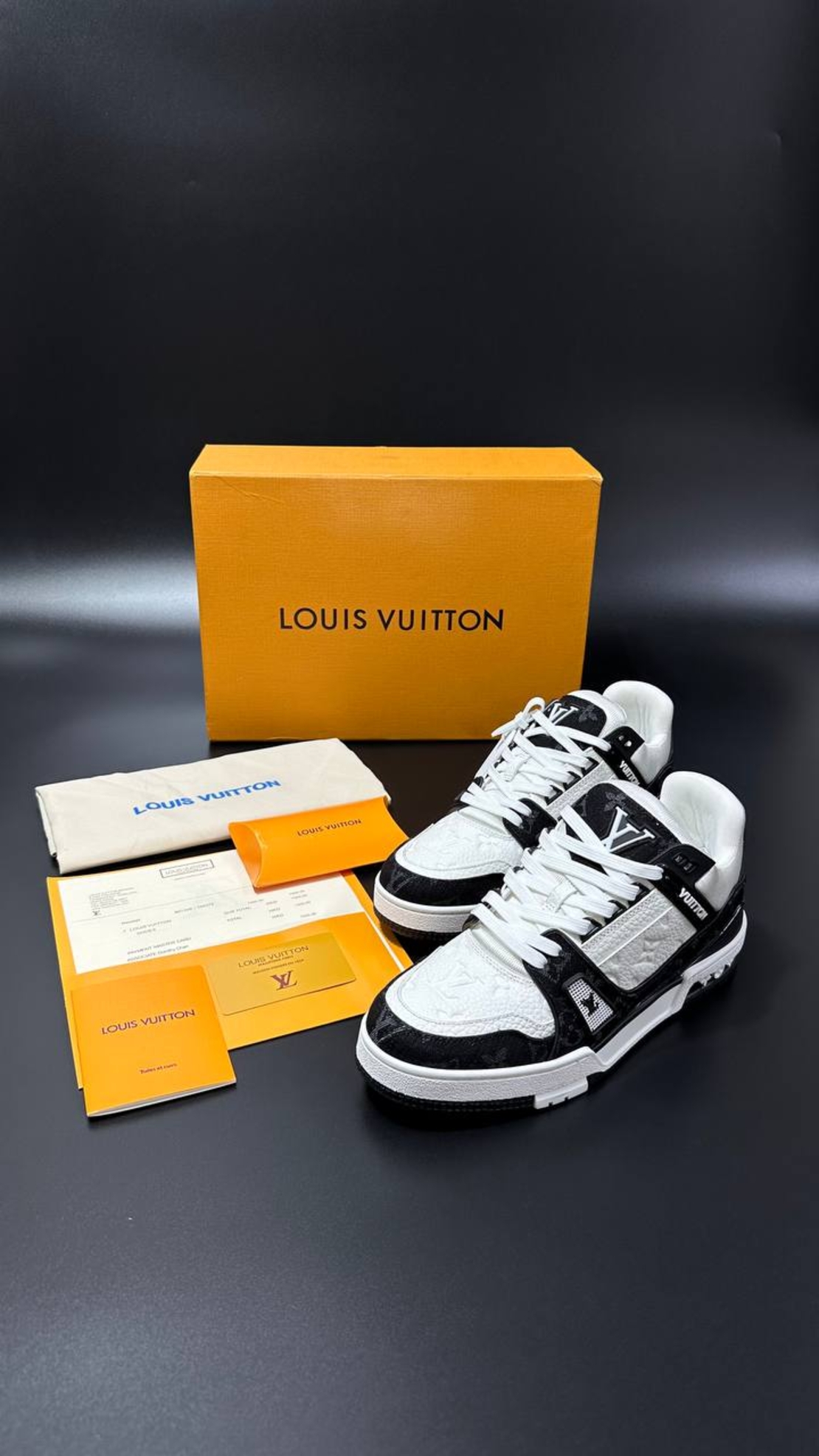 Louis Vuitton Sneakers 2