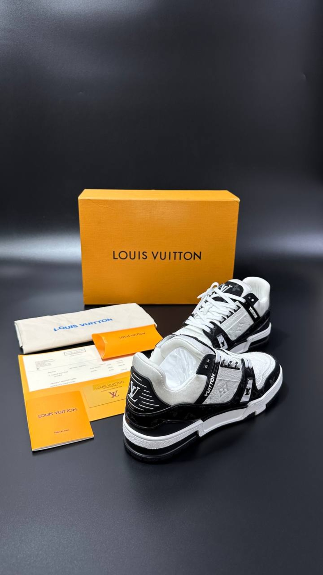 Louis Vuitton Sneakers 2