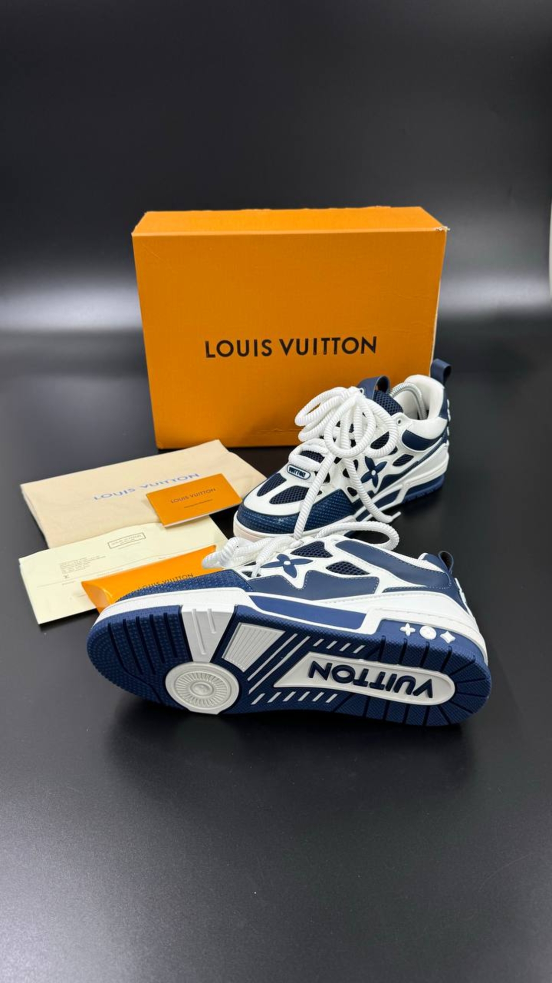 Louis Vuitton Sneakers 11