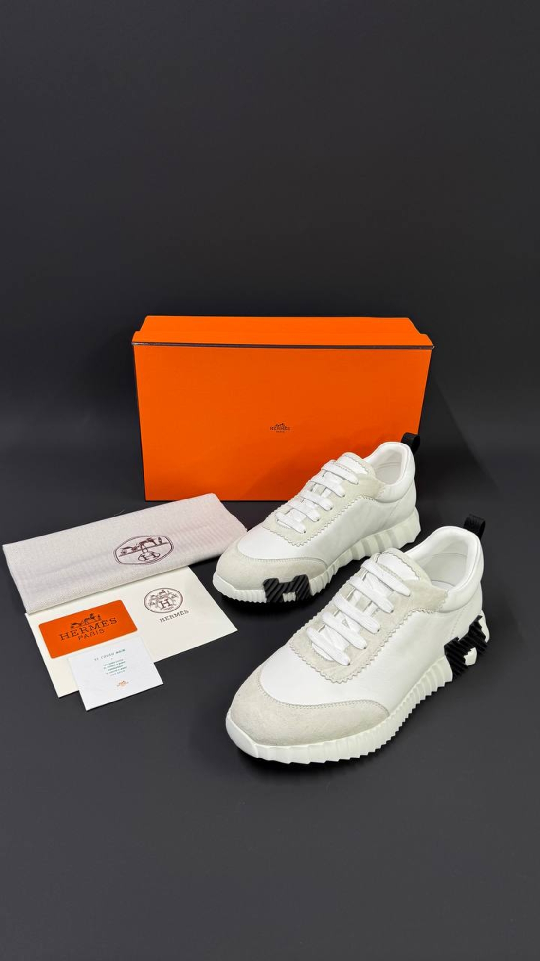 Hermès Bouncing Sneaker „Graphic Mesh & Suede Goatskin“