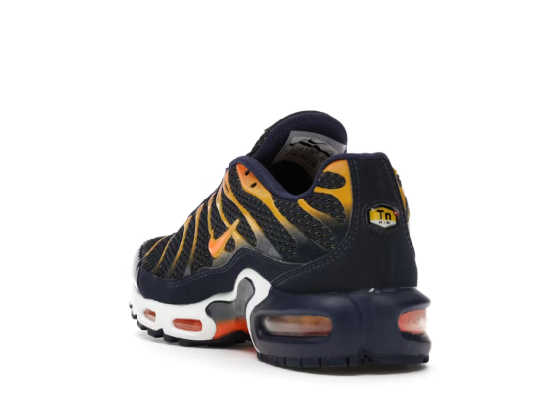 Air Max Tn Plus Blue Void University Gold