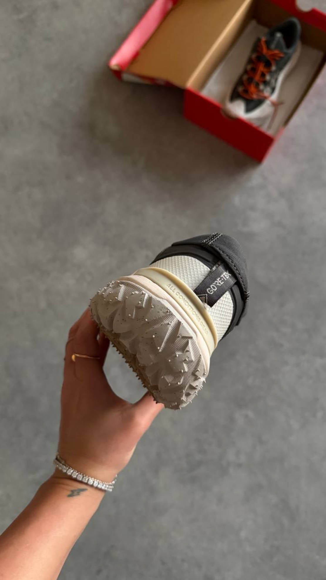 Nike ACG Mountain Fly 2 Low GORE-TEX “Grey”