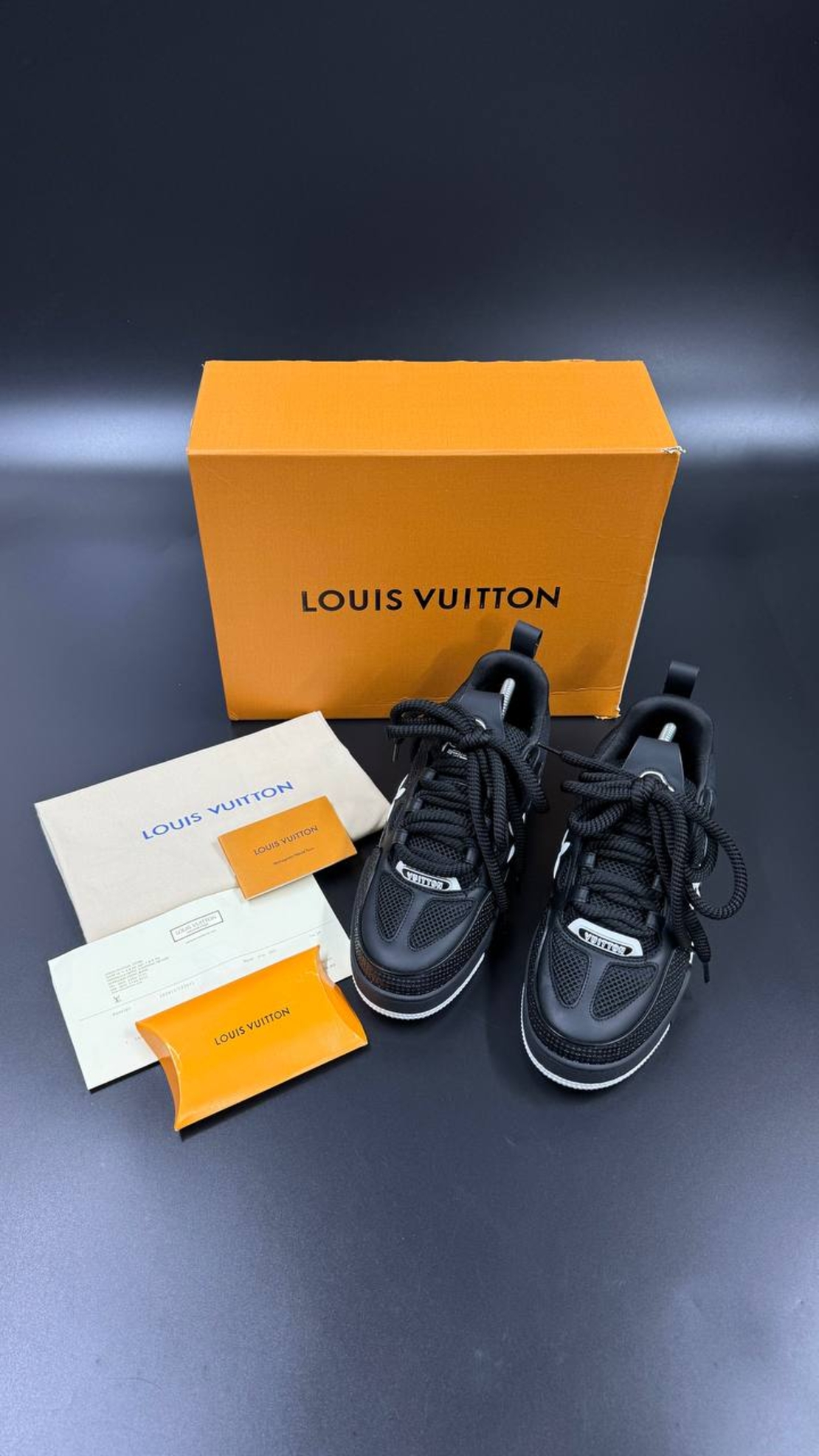 Louis Vuitton Sneakers 10