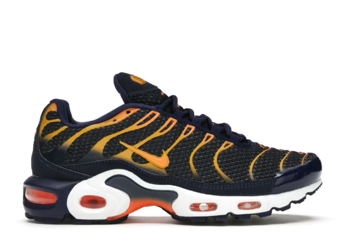 Air Max Tn Plus Blue Void University Gold