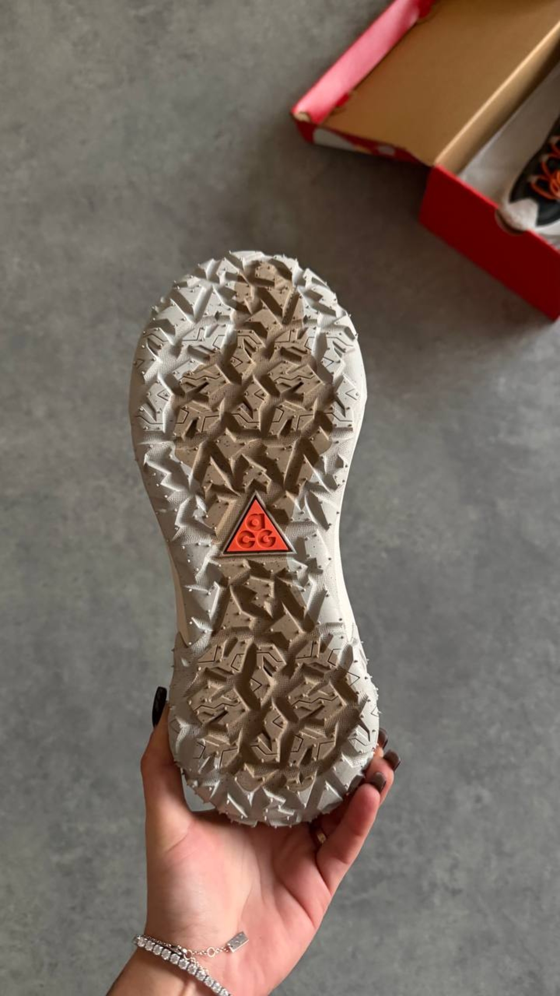 Nike ACG Mountain Fly 2 Low GORE-TEX “Grey”