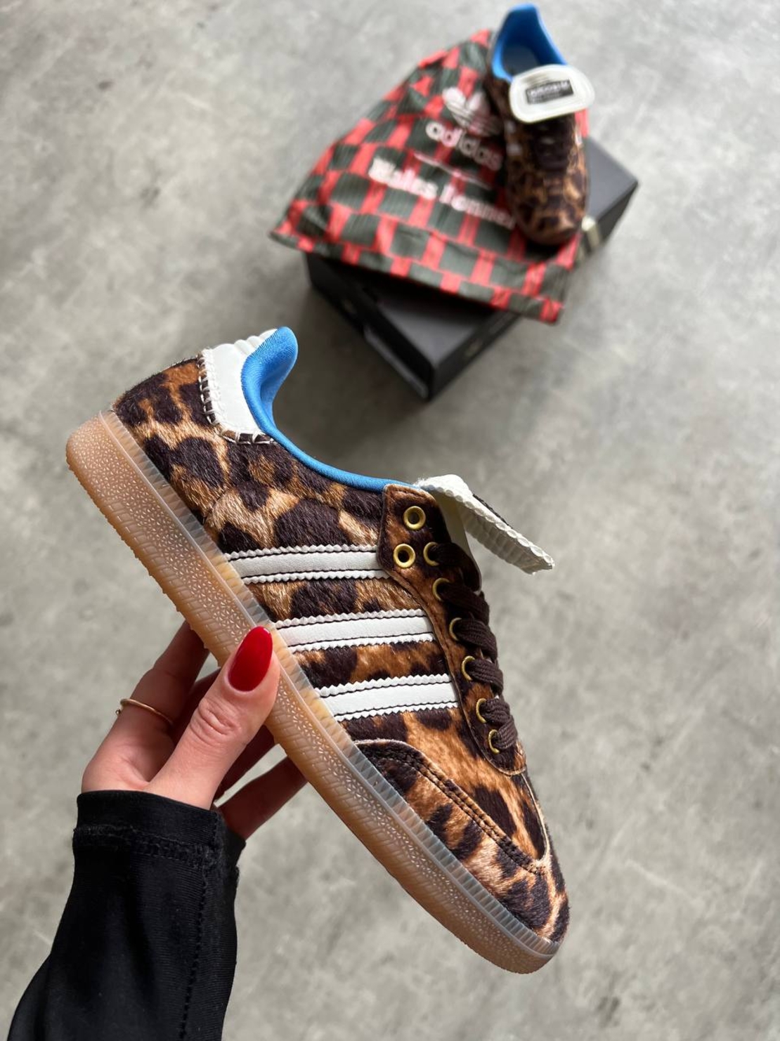 Adidas Samba X Wales Bonner ''Leopard''