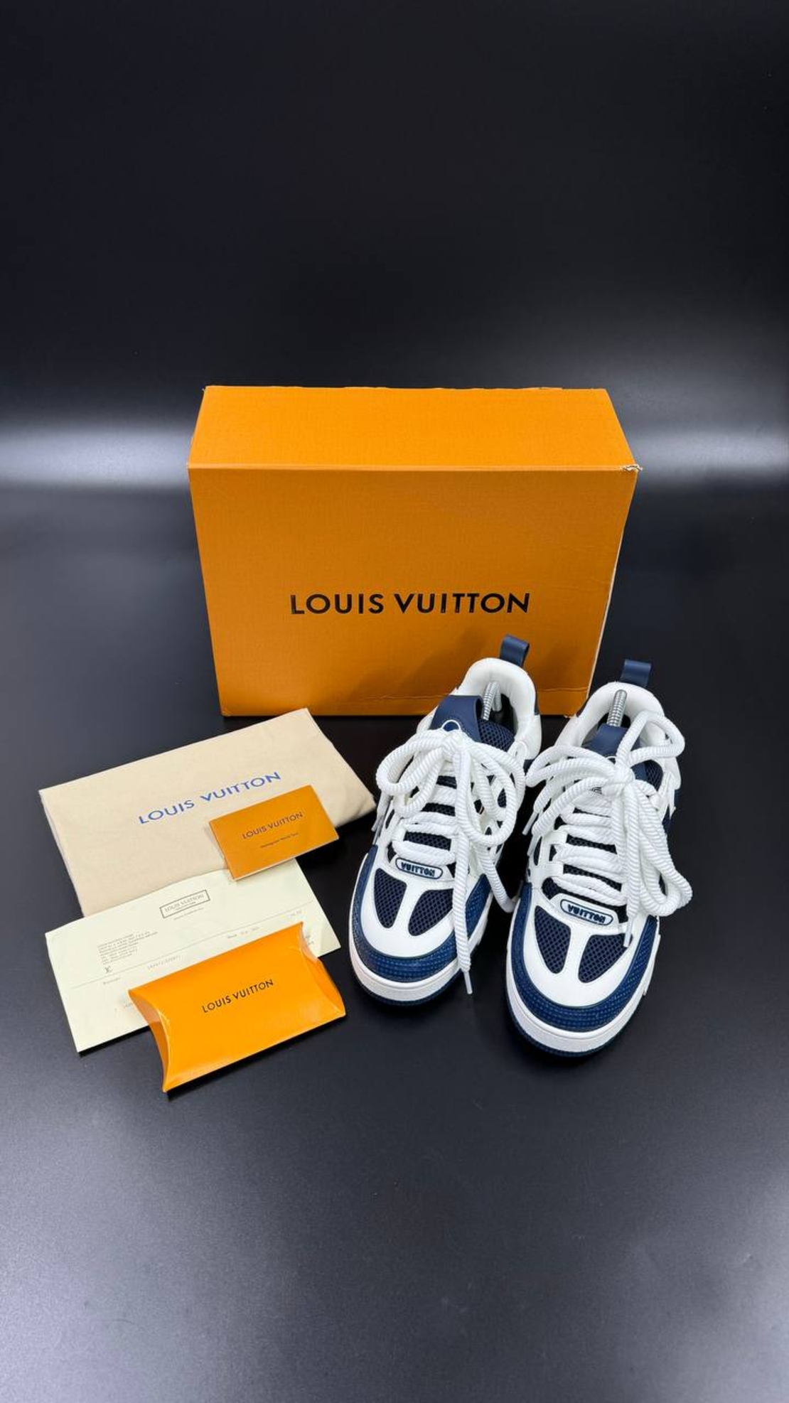 Louis Vuitton Sneakers 11