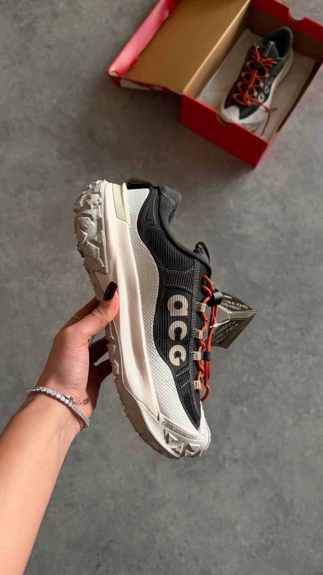 Nike ACG Mountain Fly 2 Low GORE-TEX “Grey”