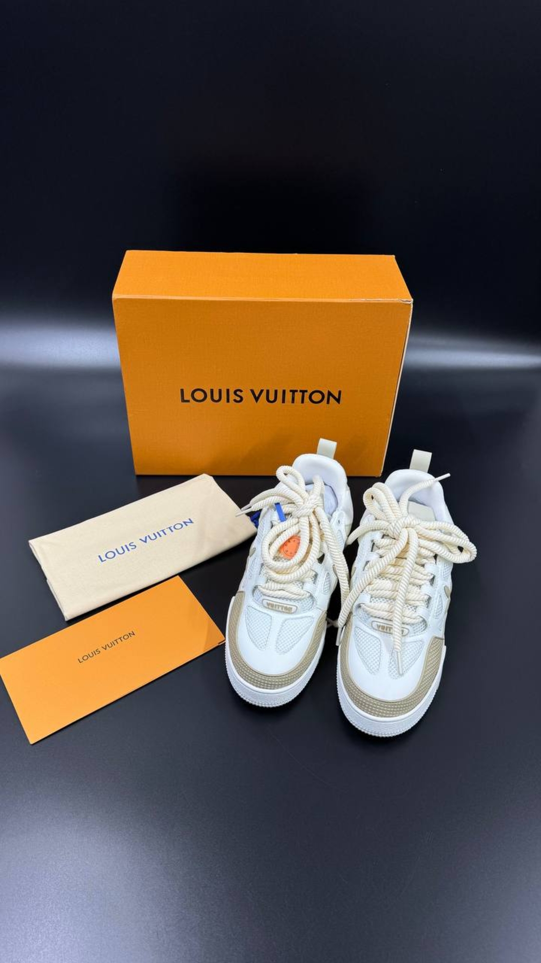 Louis Vuitton Sneakers 9