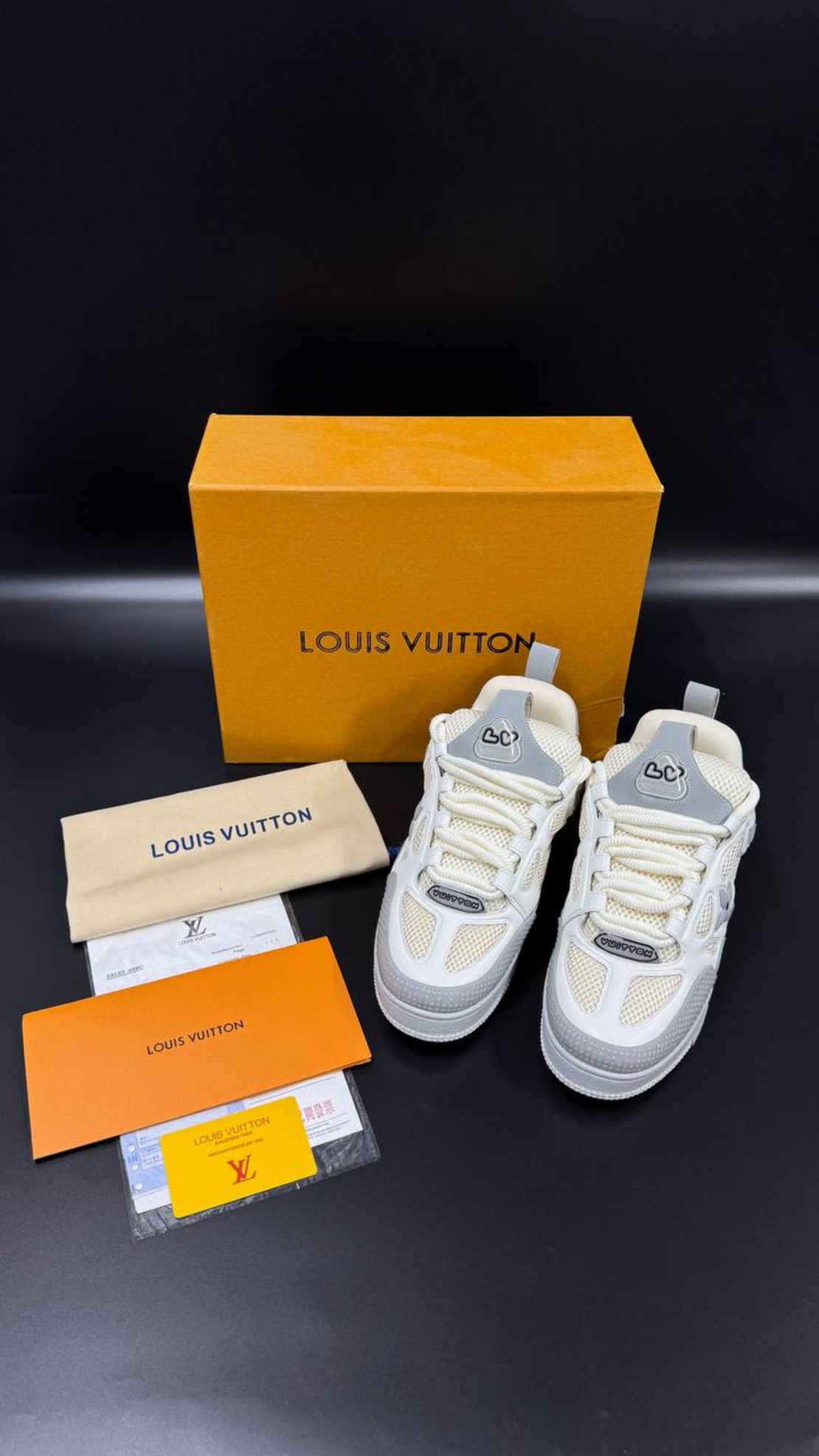 Louis Vuitton Sneakers 12