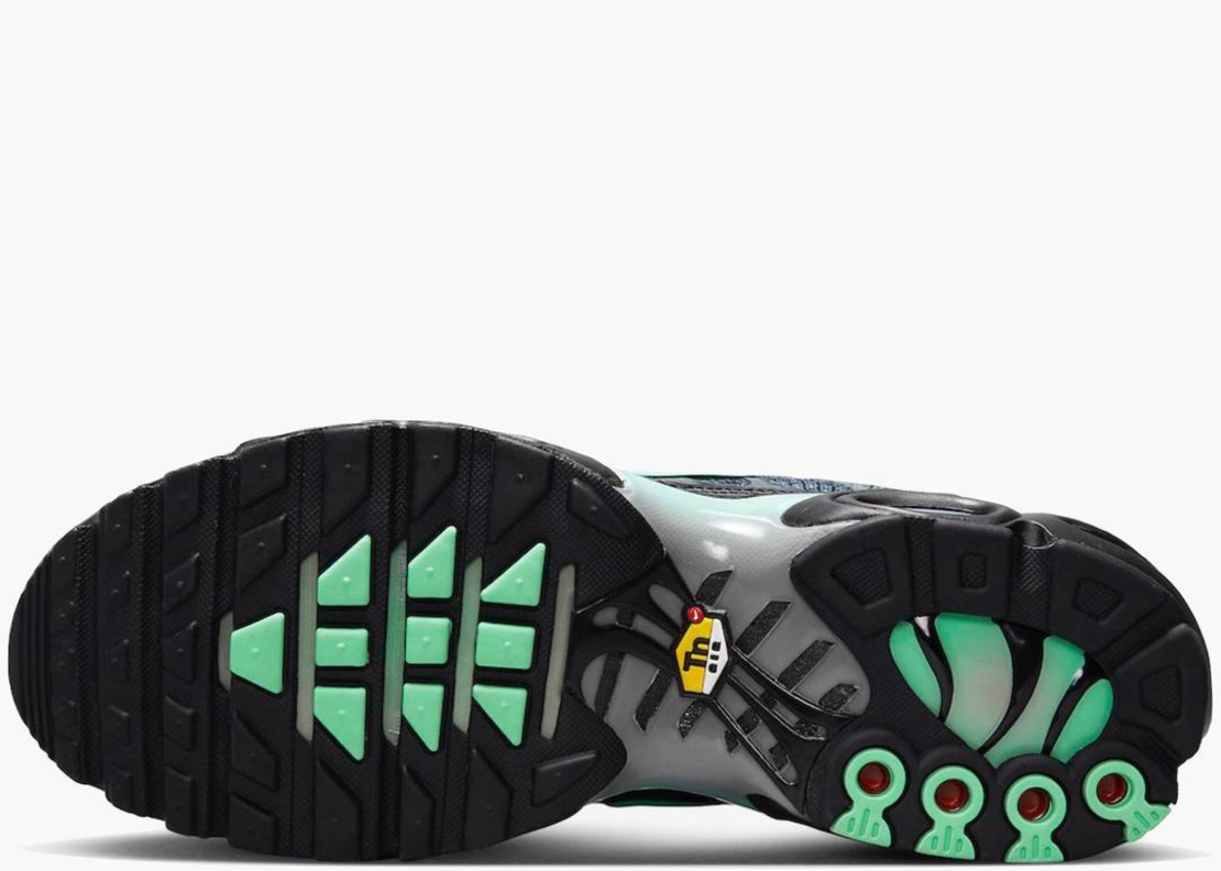 Nike Air Max Plus TN 