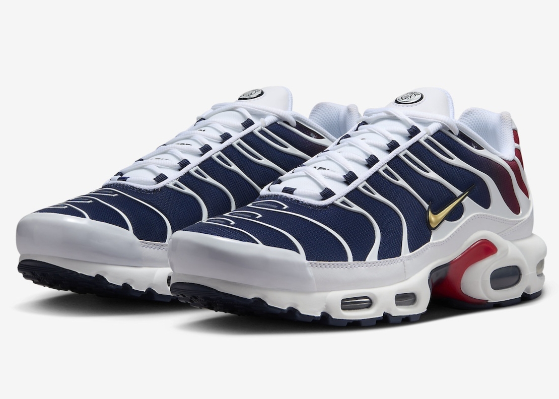 NIKE AIR MAX PLUS TN 'PSG'