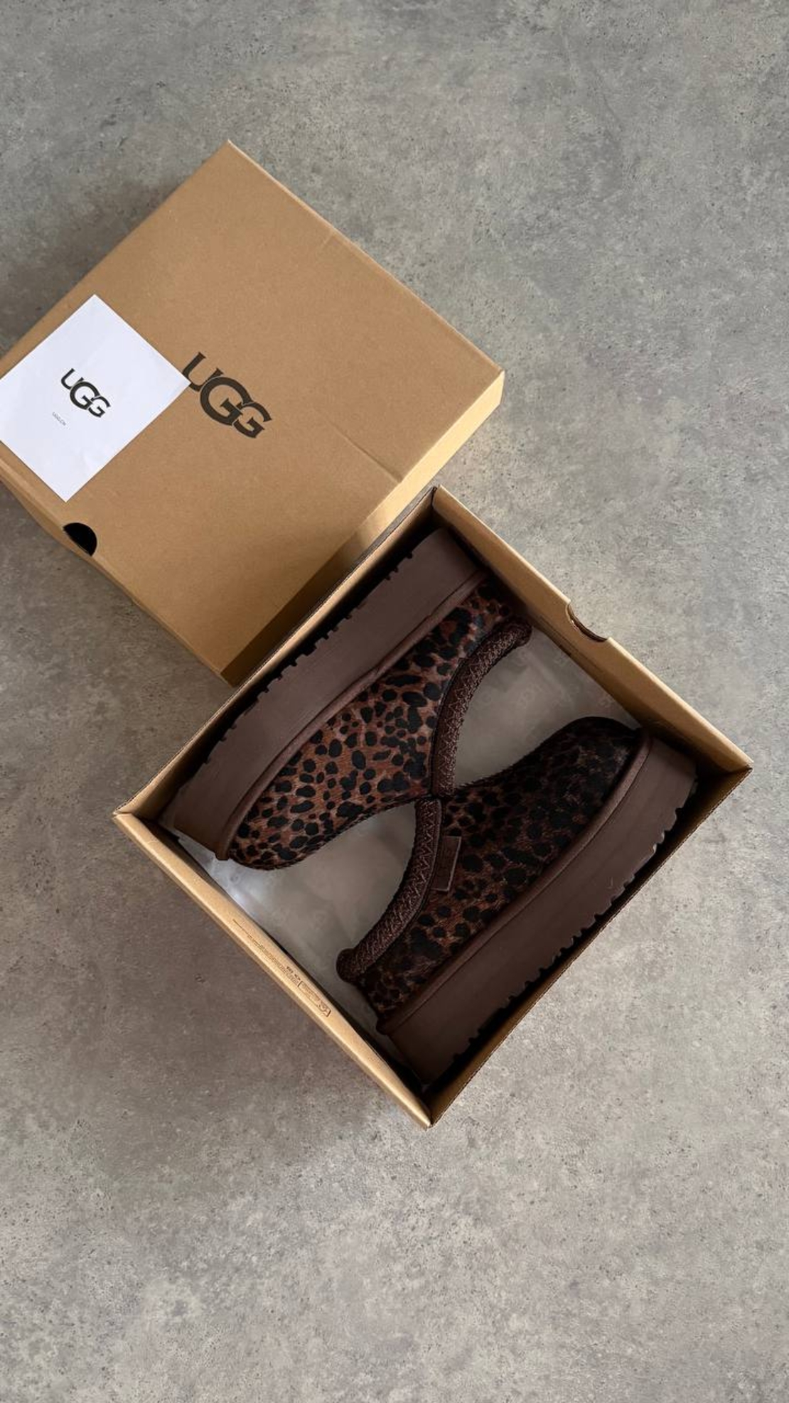 UGG Tazz Caspian “Burnt Cedar”