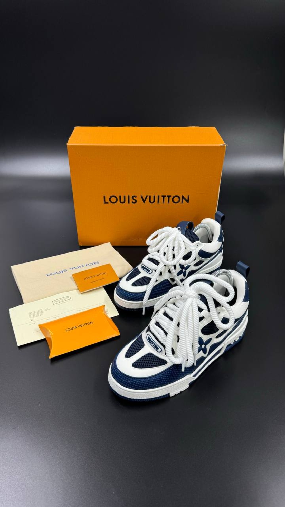 Louis Vuitton Sneakers 11
