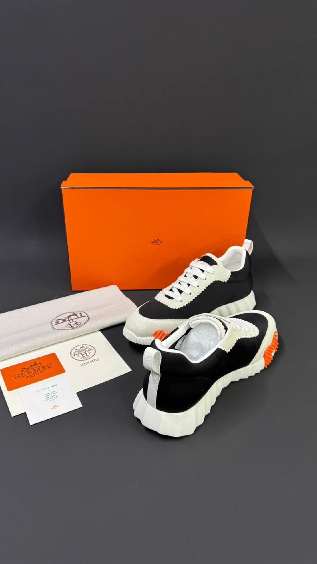 Hermès Bouncing Sneaker „Graphic Mesh & Suede Goatskin“