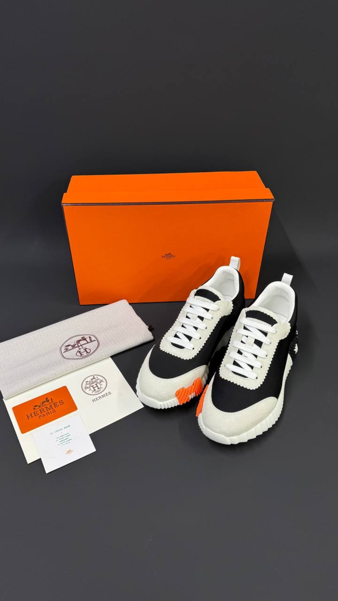 Hermès Bouncing Sneaker „Graphic Mesh & Suede Goatskin“