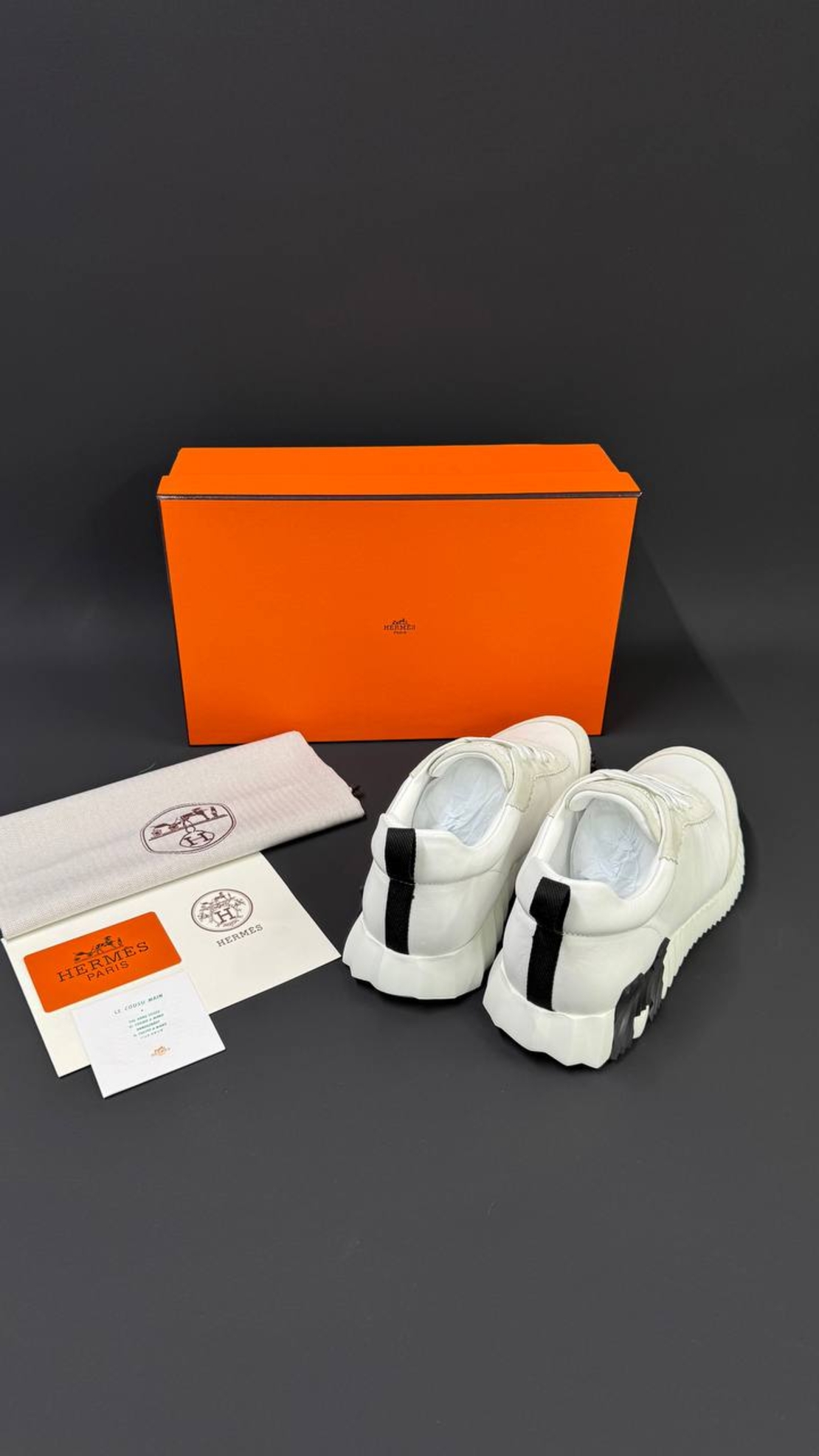 Hermès Bouncing Sneaker „Graphic Mesh & Suede Goatskin“