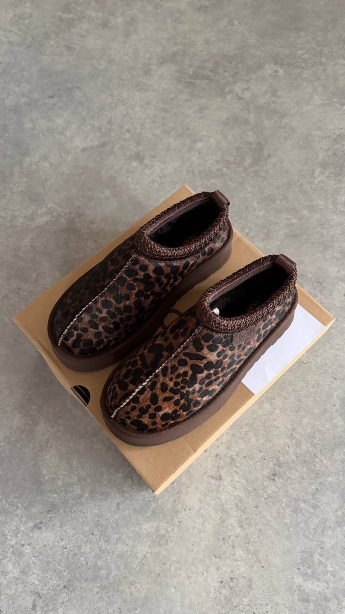 UGG Tazz Caspian “Burnt Cedar”