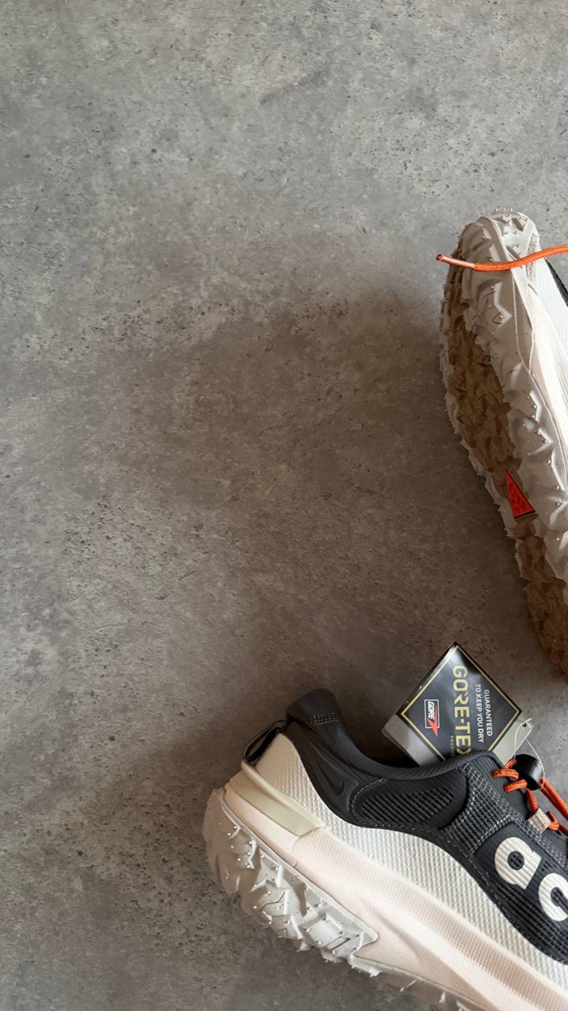 Nike ACG Mountain Fly 2 Low GORE-TEX “Grey”