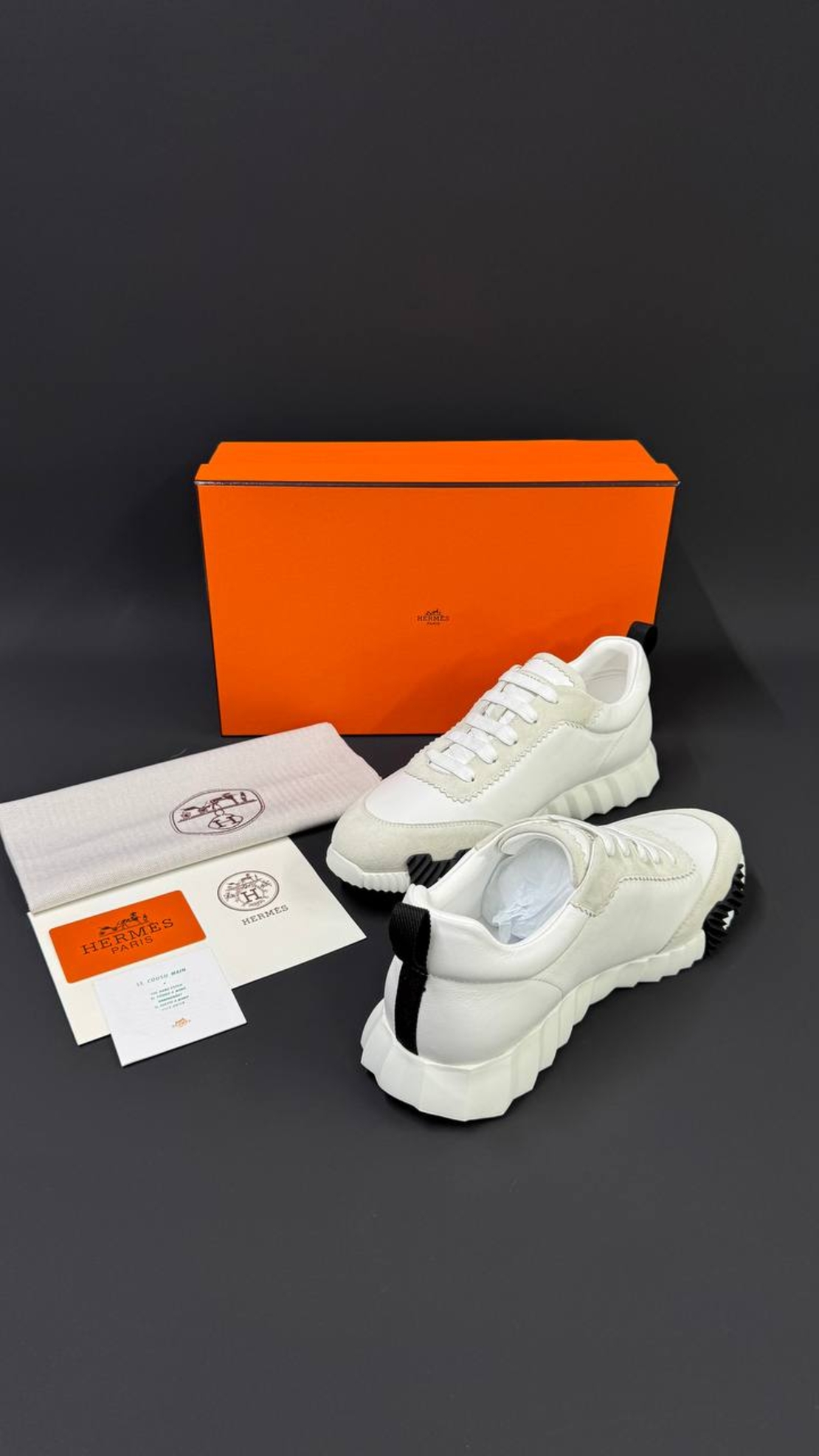 Hermès Bouncing Sneaker „Graphic Mesh & Suede Goatskin“