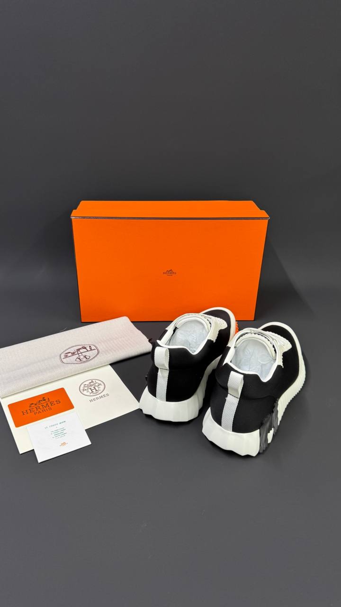 Hermès Bouncing Sneaker „Graphic Mesh & Suede Goatskin“
