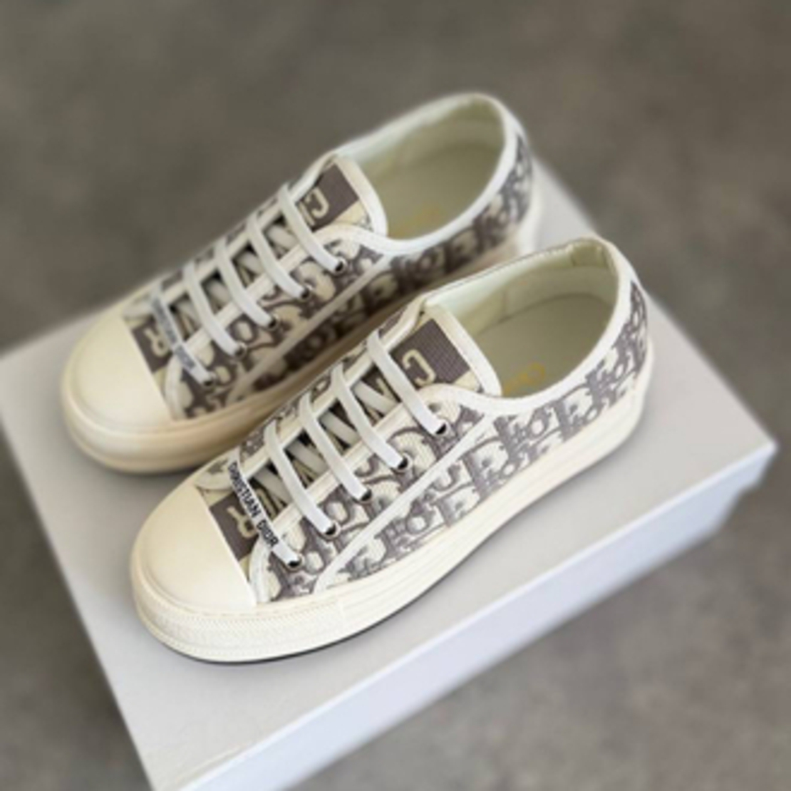 Dior Canvas Women “Premium
