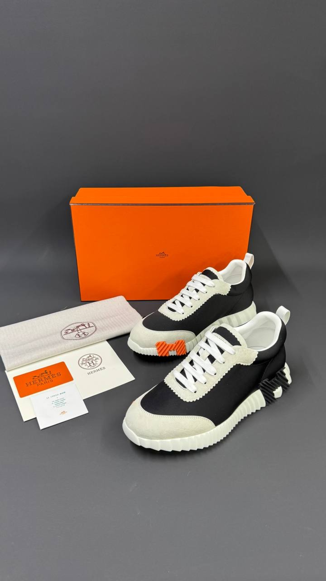 Hermès Bouncing Sneaker „Graphic Mesh & Suede Goatskin“