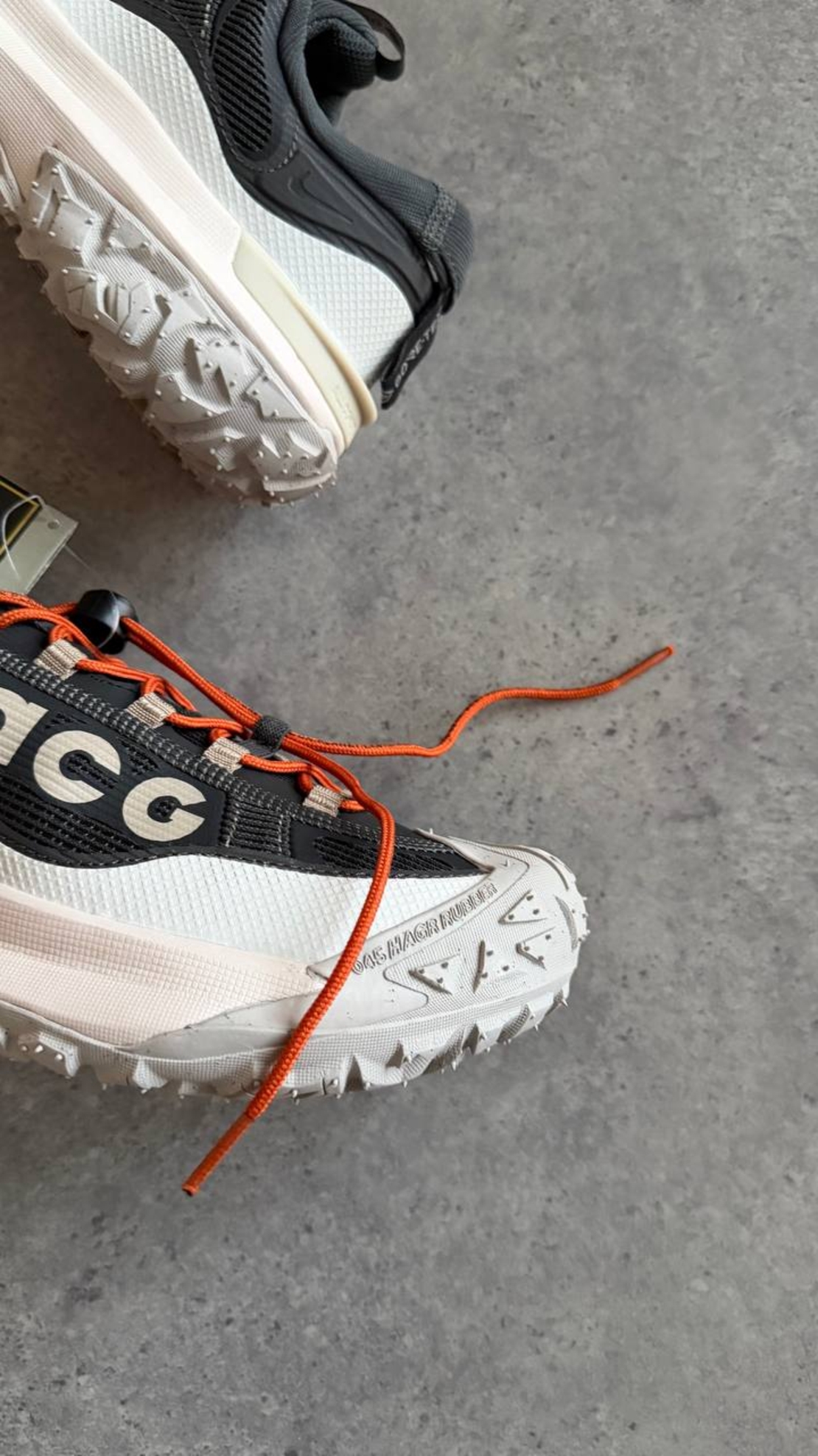 Nike ACG Mountain Fly 2 Low GORE-TEX “Grey”