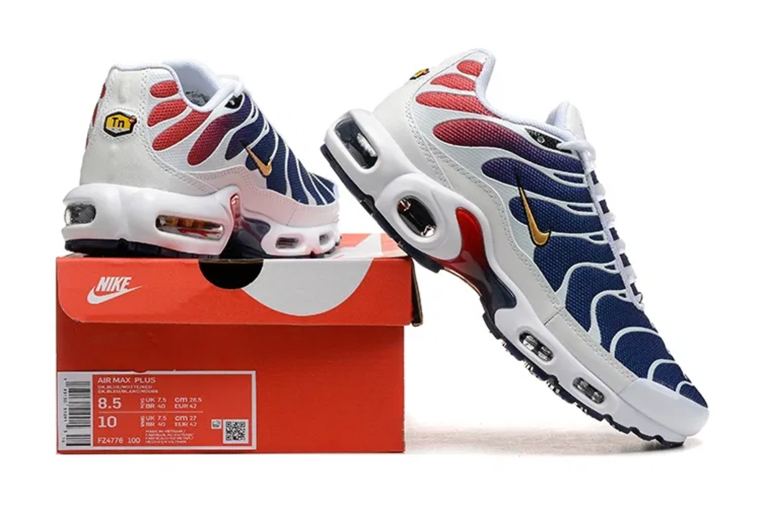 NIKE AIR MAX PLUS TN 'PSG'