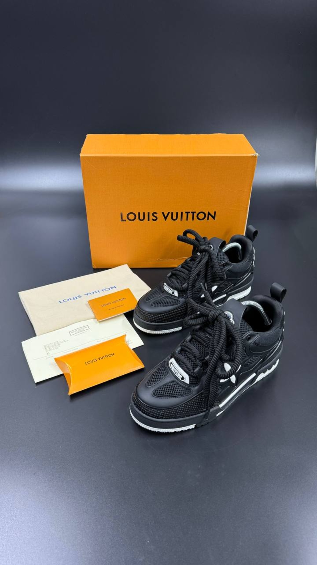 Louis Vuitton Sneakers 10
