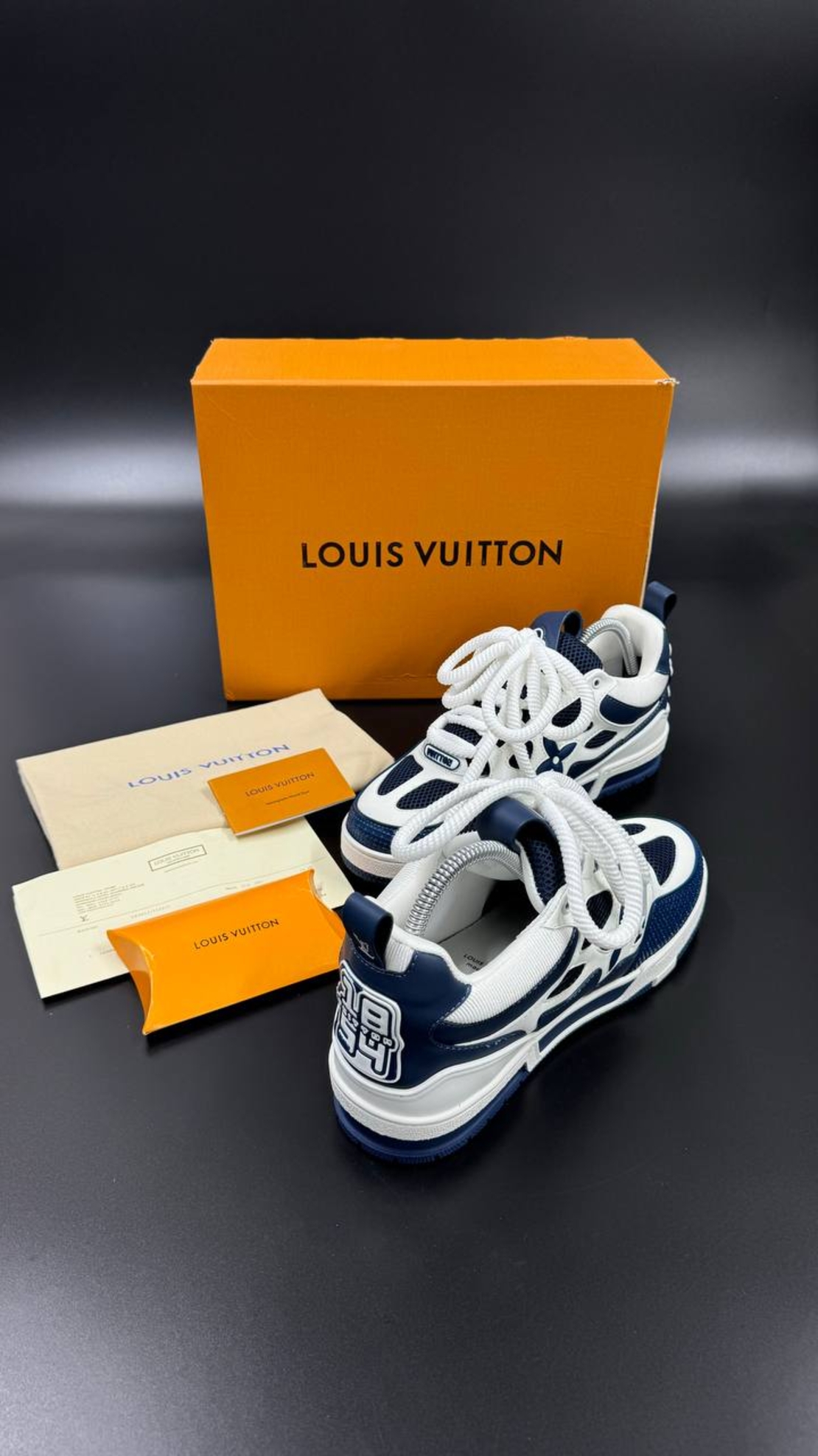 Louis Vuitton Sneakers 11