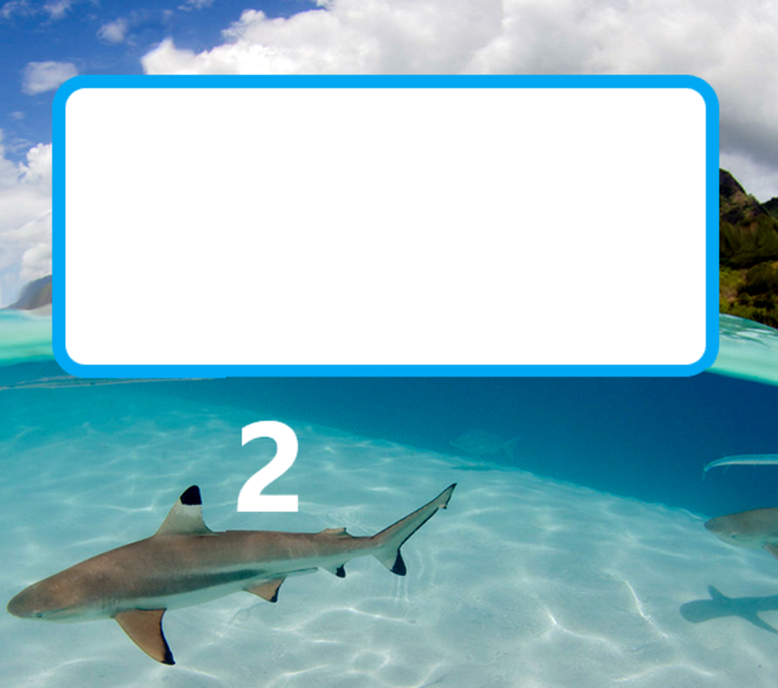 Картонена торта  МОРСКО ДЪНО / АКУЛИ / РИБКИ 1