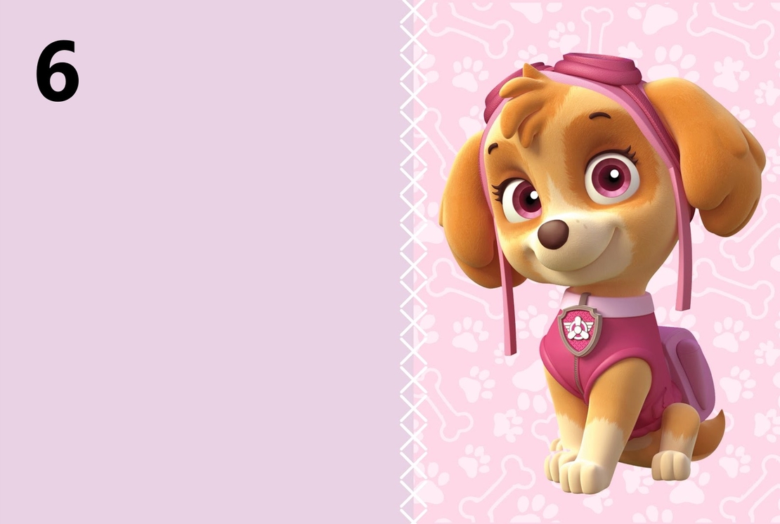 Картонена торта ПЕС ПАТРУЛ СКАЙ И ЕВЕРЕСТ 10 /  Paw Patrol Skye 10