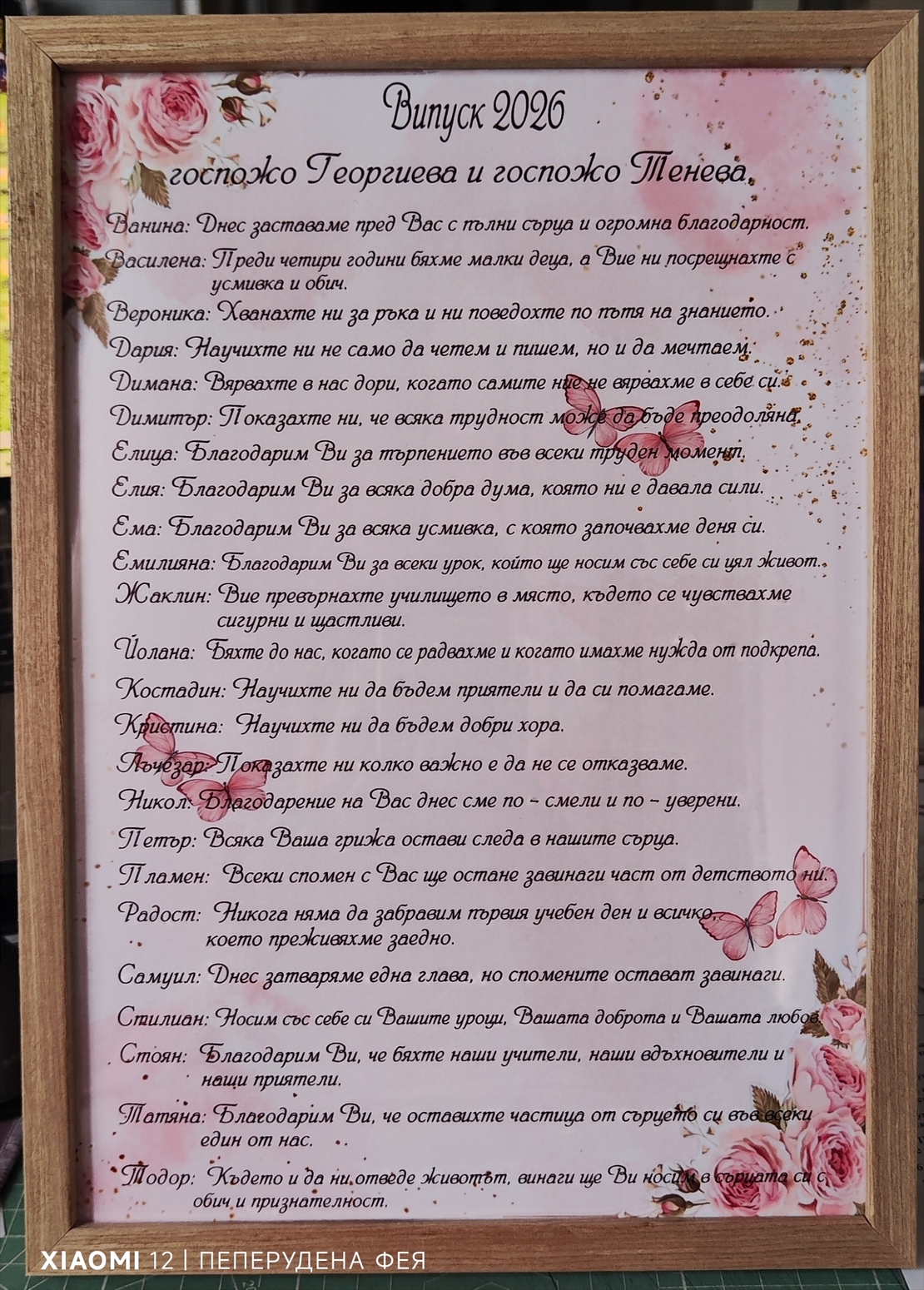 РАМКА А4 - БЛАГОДАРЯ ВИ, ГОСПОЖО...!