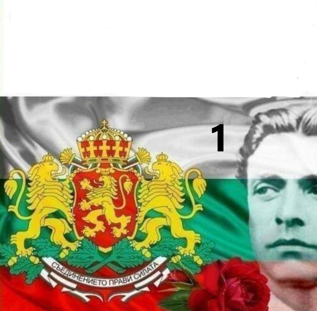 Картонена торта Васил Левски 1